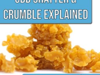 what is CBD shatter and crumble featured